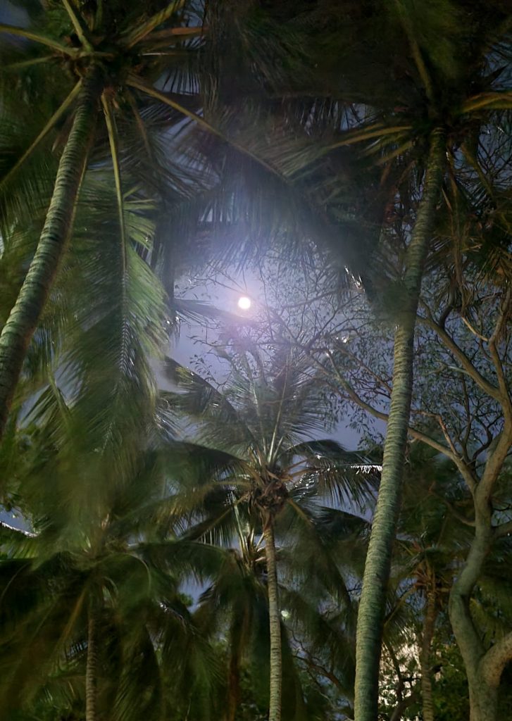 La luna y las palmeras de noche en la playa de Santa Marta